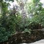 Los Angeles County Arboretum