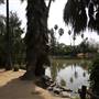 Los Angeles County Arboretum