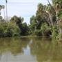 Los Angeles County Arboretum