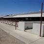 Kern County Fair - 15th DAA