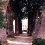 City Plaza