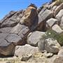 Desert View Conservation Area
