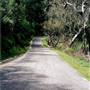 Carmel Valley Road / Monterey County Route G16
