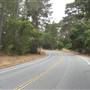 Monhollon Road