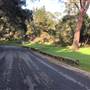 Litchfield Road