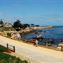 Pacific Grove