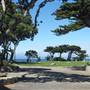 Pacific Grove