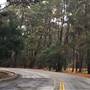 Skyline Drive