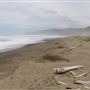 MacKerricher State Park (SP) - Inglenook Ten Mile Preserve - northern stretch - aka Ten Mile Dunes