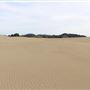 MacKerricher State Park (SP) - Inglenook Ten Mile Preserve - northern stretch - aka Ten Mile Dunes