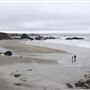 Pudding Creek Beach