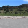 Navarro River Beach - Navarro River Redwoods State Park (SP)