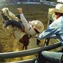 Shasta County Sports Facilities