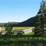 Shasta County Natural Landscapes & Parks