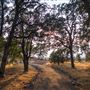 Shasta County Natural Landscapes & Parks