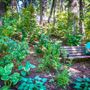 Shasta County Gardens