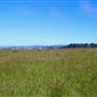 Noyo Headlands Park
