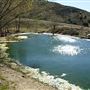 Firestone Pond