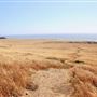 Van Damme State Park (SP) / Beach / Pygmy Forest / Fern Canyon Trail / Spring Ranch Trail