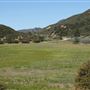 Rancho Grande