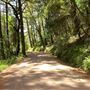 Peachland Road