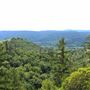 Peachland Road