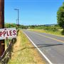 Highway 128 - Anderson Valley corridor