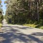 Fern Creek Road