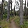 Jug Handle State Natural Reserve (SNR)