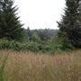 Jug Handle State Natural Reserve (SNR)