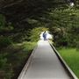 Boardwalk at Laguna Point @ (MacKerricher State Park)