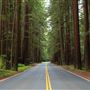 Navarro River Redwoods State Park (SP)