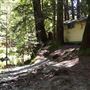 Alliance Redwoods Conference Grounds