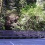 Alliance Redwoods Conference Grounds