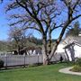 Browder Ranch