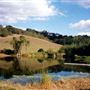 Cloverleaf Ranch