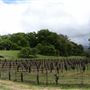 Jack London State Historic Park (SHP)