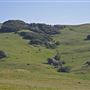 J G Angus Ranch
