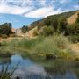 Lake Sonoma