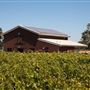 Olivet Grange Vineyard