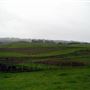 Tom Scott Ranch