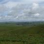 Tomales Rd