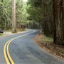 Greenwood Road