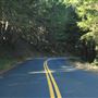 Greenwood Road
