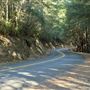 Greenwood Road