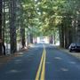 Greenwood Road