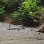 Little River Blowhole Trail