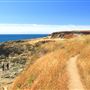 Mendocino Headlands State Park (SP)