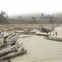 Big River Beach @ Menodocino Headlands State Park  (SP)