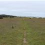 MacKerricher State Park (SP)